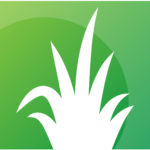 Why ARO Workflows Still Loop - And How Machine Scale Decision Support Breaks the Cycle